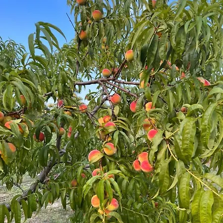 Сasa de vacaciones ненийски Lom