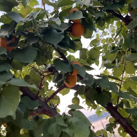 Vakantiehuis ненийски *