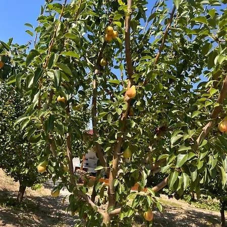 ненийски Сasa de vacaciones