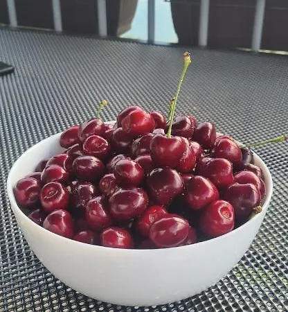 Сasa de vacaciones ненийски Lom