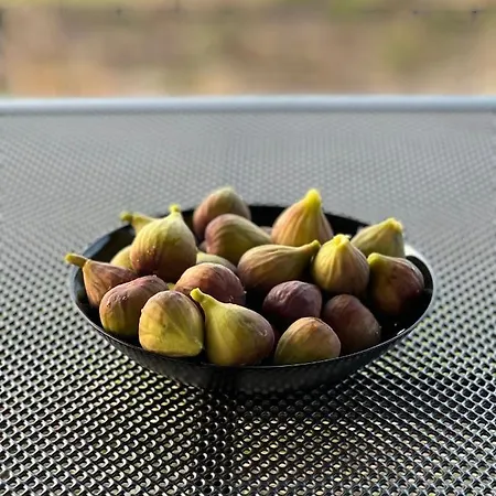 ненийски * Лом