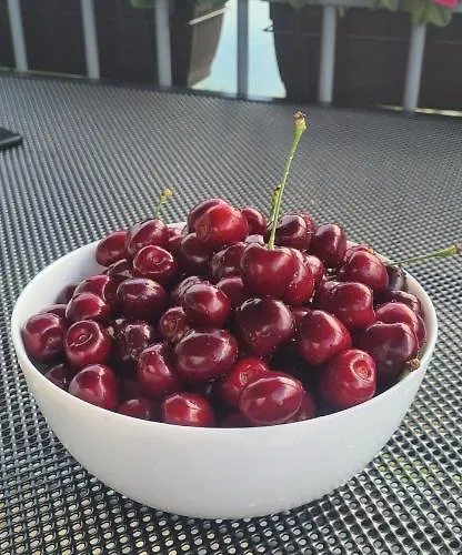 בית נופש ненийски Lom