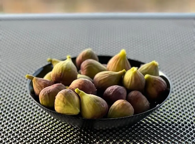 ненийски * Lom